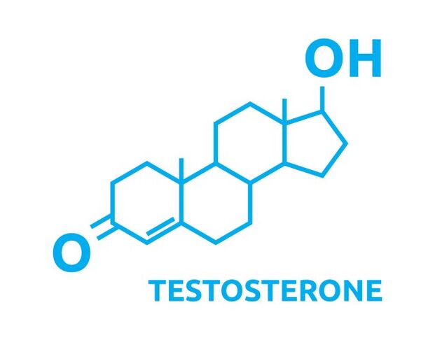 Wzrost testosteronu po użyciu Eroboost